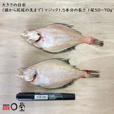 ふるさと納税 宮古市 【訳あり】一夜干しかれい 宗八 SSサイズ16尾 |  | 01