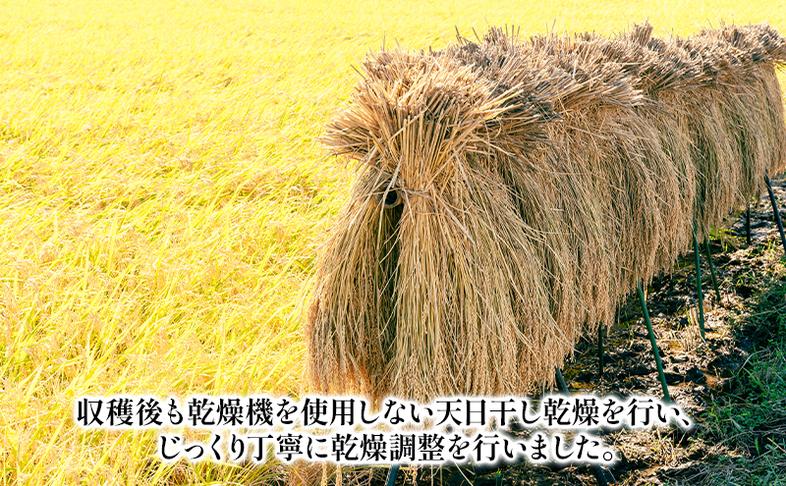 越後こがね 白餅・まめ餅セット お餅 おもち 