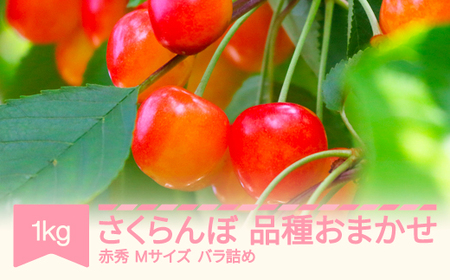 先行予約 山形県産さくらんぼ 品種おまかせ 赤秀 Mサイズ 1kg バラ詰 2026年産 令和8年産サクランボ mm-saoam1000