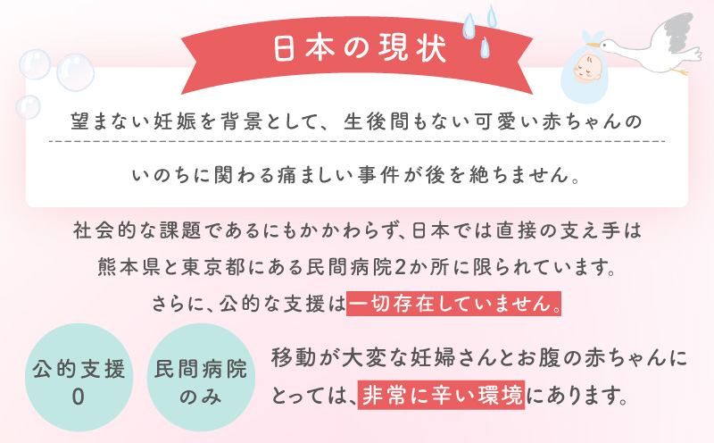 【返礼品なし】赤ちゃんいのちのバトン関連応援寄附（大阪府泉佐野市） LB0002