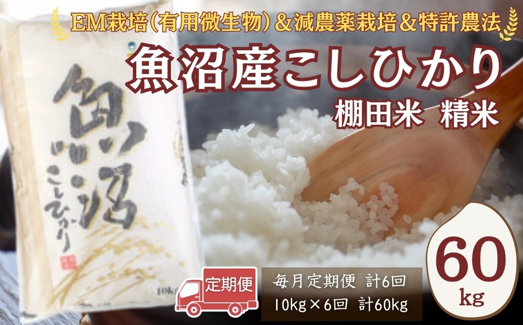 
                  【令和8年産 先行予約】農家直送の棚田米 魚沼産コシヒカリ 精米 合計60kg 定期便 10kg×6回(毎月お届け) 佐藤農場 | 新潟県産 コシヒカリ お米 米 おこめ こめ コメ こしひかり 魚沼産 ブランド米【0018-SN09DB00】
                