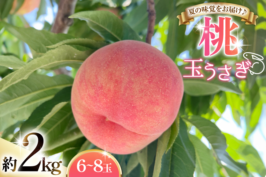
            【期間限定発送】 桃 玉うさぎ 2kg (6〜8玉) [東城農園 山形県 高畠町 tk06ayt370003] もも モモ 果物 くだもの フルーツ 冷蔵
          