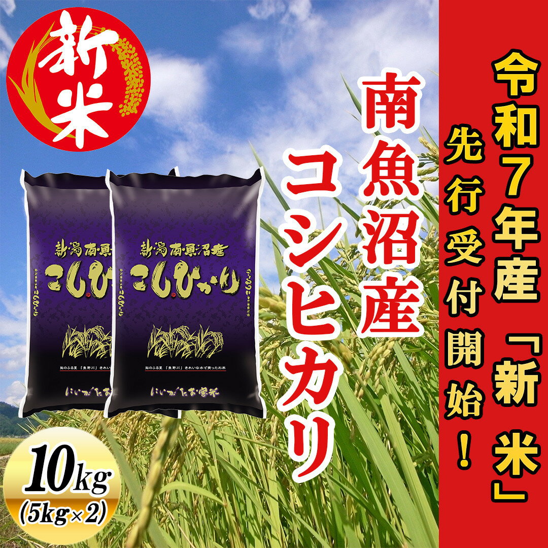 【ふるさと納税】【令和7年産新米先行予約】南魚沼産コシヒカリ10kg【2025年10月下旬より順次発送予定】 | 送料無料 新米 魚沼産 コシヒカリ 魚沼 新潟 こしひかり 新潟県産 白米 精米 米 お米 産直 産地直送 お取り寄せ