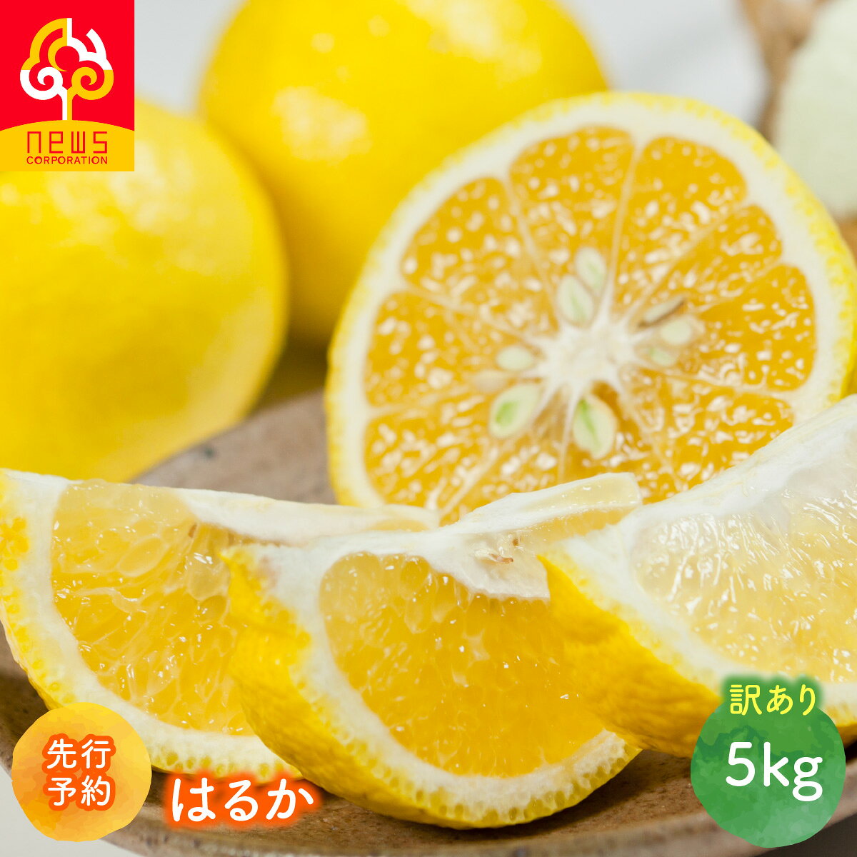 【ふるさと納税】【先行予約】【訳あり】はるか5kg（2027年1月下旬より順次発送）【ふるさと納税 人気 おすすめ ランキング はるか みかん ミカン オレンジ 5kg 果実 フルーツ 愛媛みかん 愛媛ミカン 愛媛オレンジ 訳あり ニュウズ 愛媛県 伊方町 送料無料】IKTF037