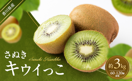 キウイ さぬきキウイっこ キウイ【約3kg】