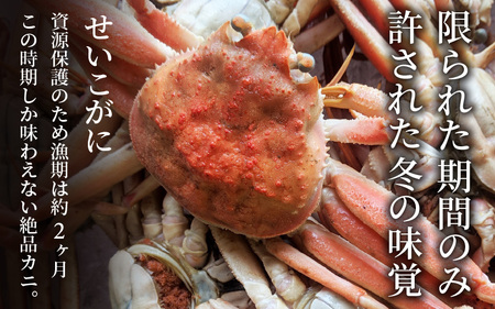 【先行予約】せいこがに 約150g以上×5杯【11月～12月発送予定】