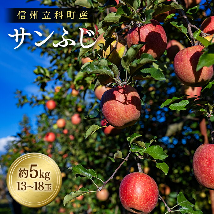 【ふるさと納税】サンふじ（約5kg、優13～18玉）| 果物 フルーツ りんご サンふじ 信州 立科町