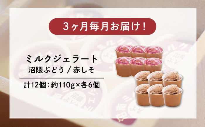 【全3回定期便】沼南ミルクジェラート 沼隈ぶどう＆赤しそ　各6個　食べ比べセット　アイス  ぶどう 赤しそ アイス アイスクリーム デザート スイーツ ご当地 広島県福山市/甚ごろう [BAEC050