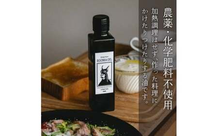 【定期便毎月3回】エゴマ油 100g 国産 受付後搾油 農薬・化学肥料不使用 食用油 エゴマ油 健康 南知多町産 調味料 愛知県 南知多町 人気 おすすめ
