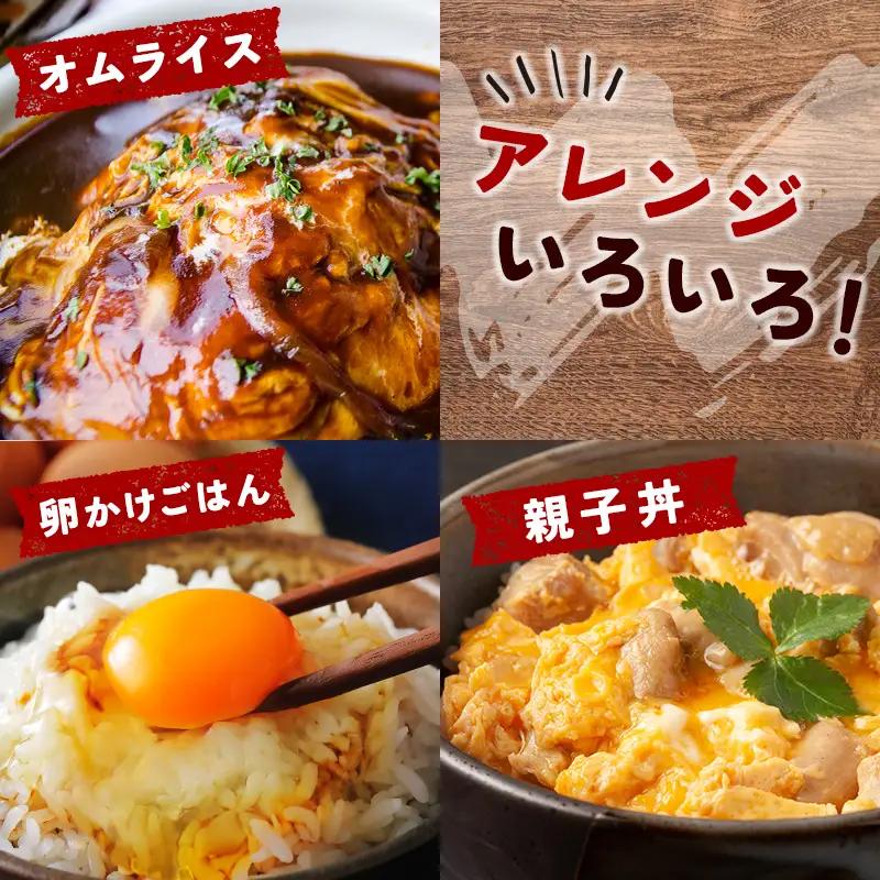 12月開始 児湯養鶏自慢の卵ネッカリッチ赤たまご「児湯一番」 計120個 （20個入×2箱）×3か月定期便【C55-2612】