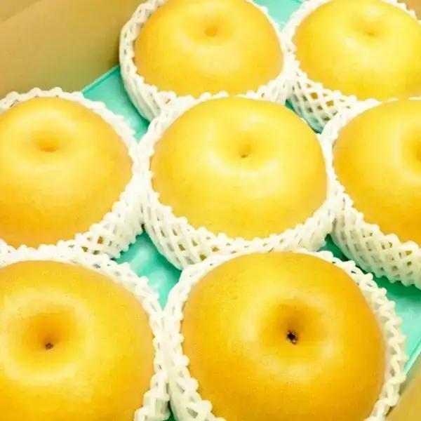 先行予約 特大 新高梨 2個 令和8年度 和梨 贈答用 新潟県産 梨 [三条果樹専門家集団] 【016P028】