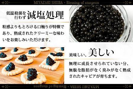 〈6回定期便〉【桐箱入り】キャビア 30g × 6回配送 計180g【世界三大珍味×日本三大秘境】宮崎 椎葉 国産 チョウザメ キャビア 魚卵 定期便 魚介 珍味 贈答 SZ-104_6teiki