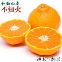 【ふるさと納税】 【濃厚】樹上熟成和歌山のデコ「不知火」20玉～28玉★2025年3月下旬より順次発送