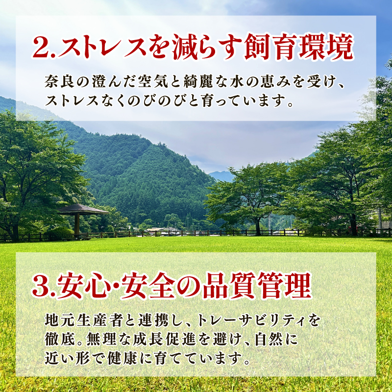 ヤマトポークロースステーキ用 大和牛専門店 一 奈良県 奈良市 奈良 I-131