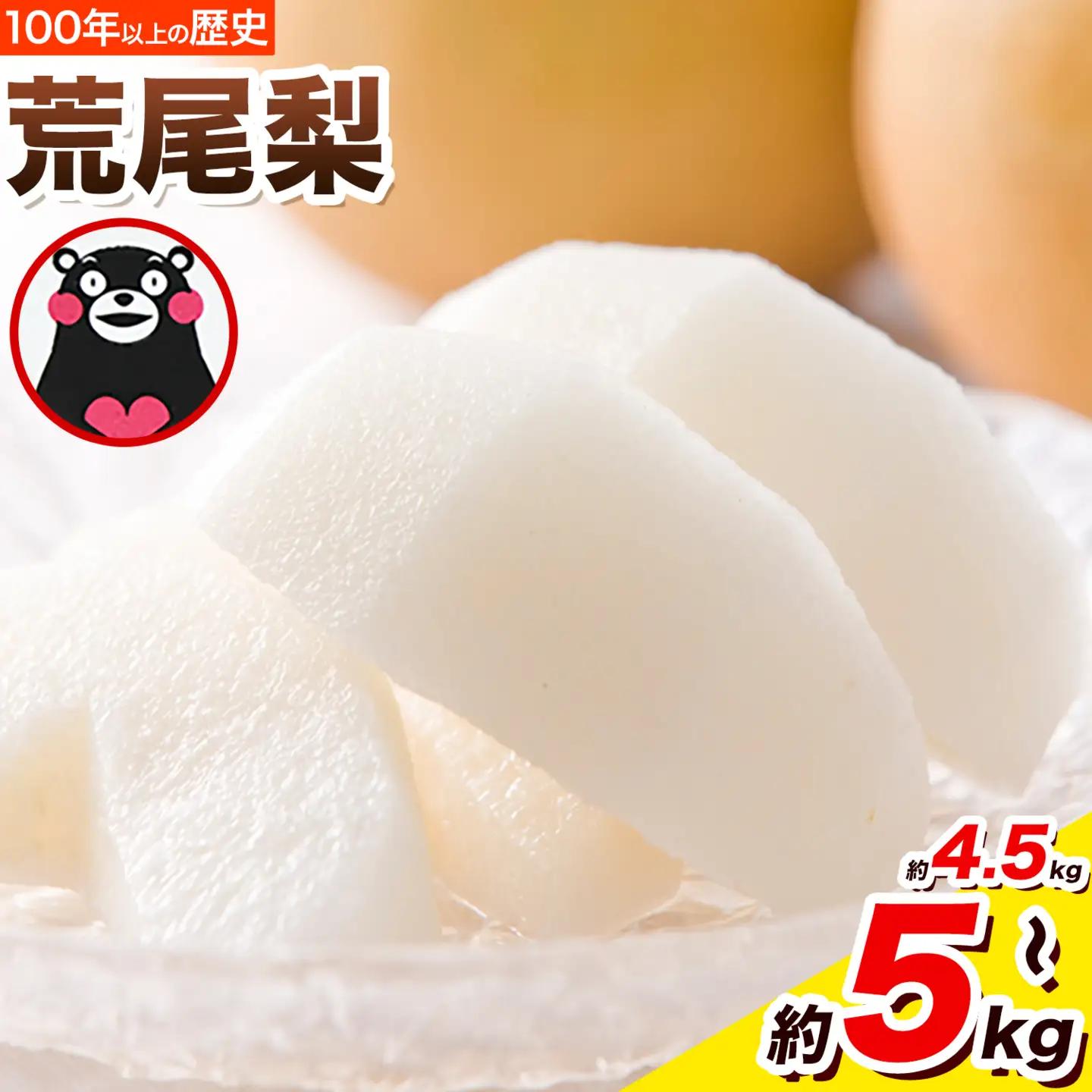 ＜ひるおびで紹介されました＞2026年先行予約 梨 荒尾梨 約4.5～5kg（6～22玉） なし フルーツ 果物 旬 《2026年8月下旬‐11月中旬頃出荷》熊本県 荒尾市 旬の梨 幸水 秋麗 豊水 あきづき 新高 など 合計8種のいずれか（品種指定不可）