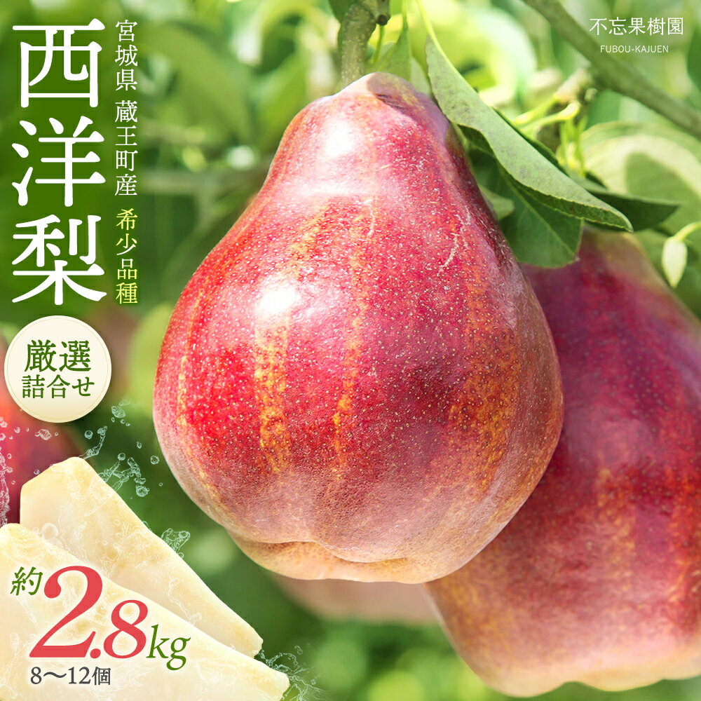 【ふるさと納税】【先行予約】希少な洋梨「リーガルレッドコミス」 2.5〜2.8kg（8〜12個） 蔵王産 梨　【04301-0184】