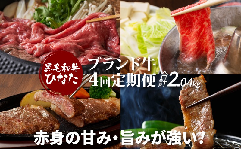 
                  4回定期便 宮崎県産 ブランド牛「黒毛和牛ひなた」 K34_T002_1
                