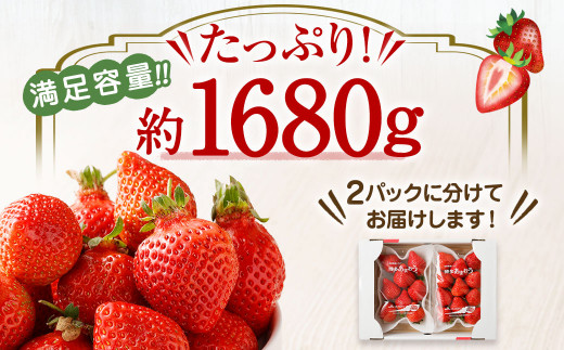 【定期便／3ヶ月連続お届け】博多あまおう 約280g×2パック 計3回 総量1.68kg 3カ月定期便【ほたるの里】_HB0075