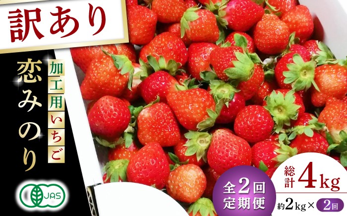 
                  【訳あり】【先行予約】【2回定期便】加工用 いちご 恋みのり 約2kg（1kg×2箱）【伊藤農園】 いちご 苺 熊本県 特産品 オーガニック  [ZBB014]
                