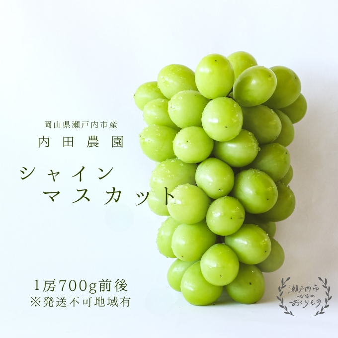 シャインマスカット1房（700g前後）内田農園 岡山県 瀬戸内市 邑久町産 葡萄 ぶどう 2025年【配達不可：北海道・沖縄・離島】 果物類 ブドウ フルーツ 