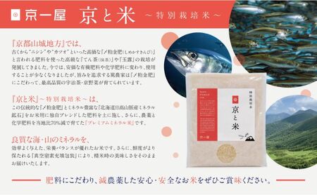お米 京と米 ヒノヒカリ 2kg お米