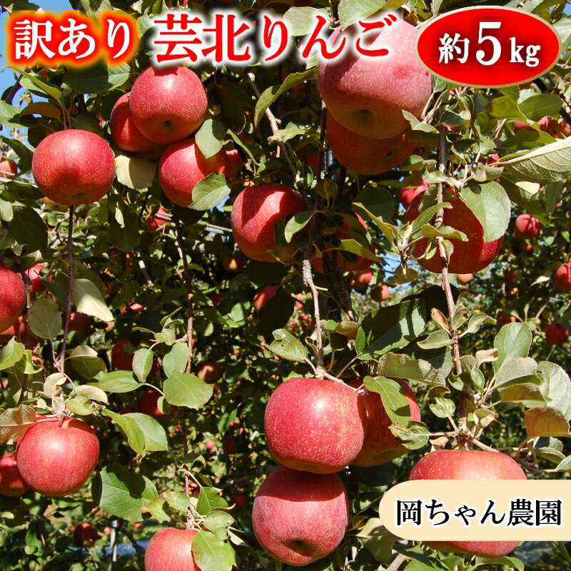 【ふるさと納税】りんご 訳あり ご家庭用 約5kg 岡ちゃん農園の芸北りんご 農家直送 夢つがる 秋映 とき すわっこ シナノスイート 陽光 ぐんま名月 シナノゴールド ふじ