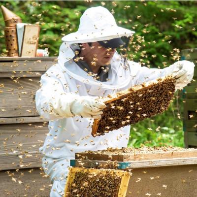 ふるさと納税 下田市 伊豆下田高橋養蜂の蜂蜜2種詰め合わせセット(185g×2本) |  | 01