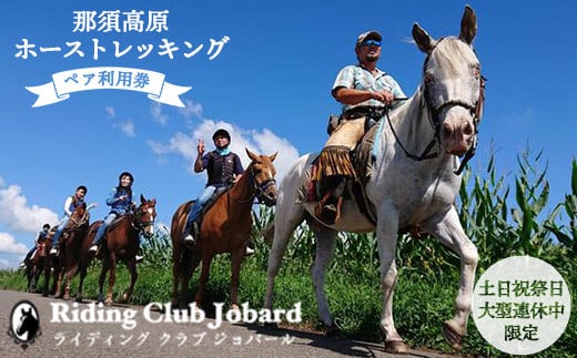 
            那須高原ホーストレッキング2時間の高原を外乗ペア利用券【土日祝祭日大型連休中限定】チケット 利用券 ペア 体験 乗馬　初心者歓迎〔P-101〕
          