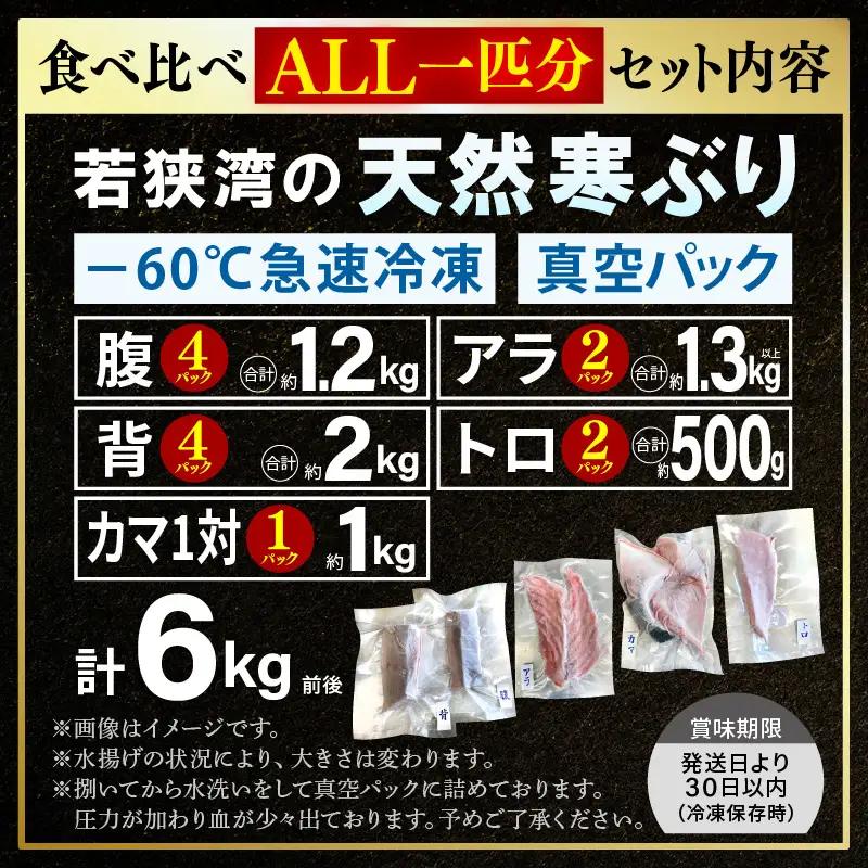 【先行予約】若狭・日向の天然寒ブリ 脂たっぷり 部位ごと食べ比べ  ALL1本分セット (腹＋背＋トロ+アラ+カマ 計6kg前後) 【2026年12月下旬以降順次発送】寒ぶり [m17-m002]