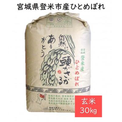 ふるさと納税 登米市 令和7年産　宮城県登米市産ひとめぼれ(玄米)30kg