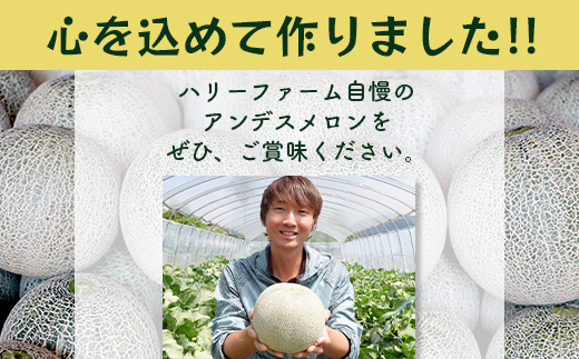 【2025年5月上旬～発送 先行予約】アンデスメロン 青肉 5玉 (合計 約4.5～5kg) 熊本県 多良木町産 果物 フルーツ メロン 先行予約 5個 青肉 ミツバチ交配 期間限定 数量限定 109