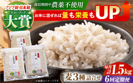 【全6回定期便】麦詰合500g×3（押ムギ・胚芽押麦・丸ムギ）【葦農】 HAJ032