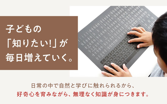 知育 知育ポスターライトグレー 3枚セット / 日本地図 世界地図 ローマ字 幼稚園 小学生 オシャレ 学習用 防水加工 知育 情操教育 おしゃれ 子供 シンプル ギフト お祝い 入園 入学 / 愛媛