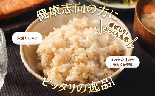 【先行予約】【R8年度産】島根県江津市 きぬむすめ 玄米 10kg MG-6｜ 島根県江津市産 国産 米 玄米 きぬむすめ ごはん ご飯 弁当 おにぎり 10キロ
