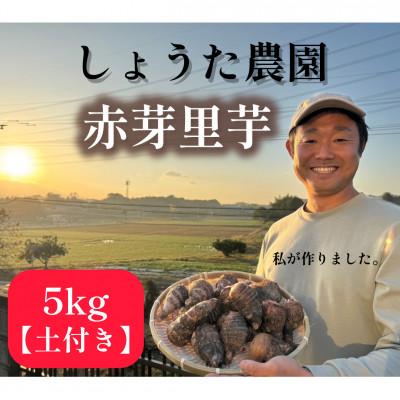 ふるさと納税 鞍手町 しょうた農園の赤芽里芋(5kg)