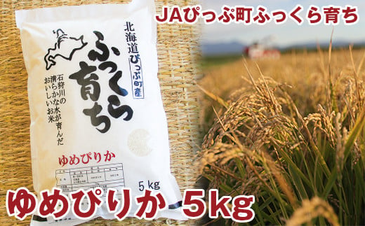 
2024年産　JAぴっぷ町　ゆめぴりか精米5㎏
