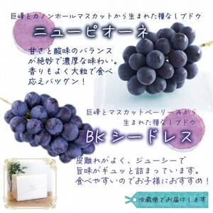 岡山　花笑み農園の『ニューピオーネ＆BKシードレス』1kg(2房)PB-1　【9月中旬～順次発送】【配送不可地域：離島・北海道・沖縄県】【1627765】