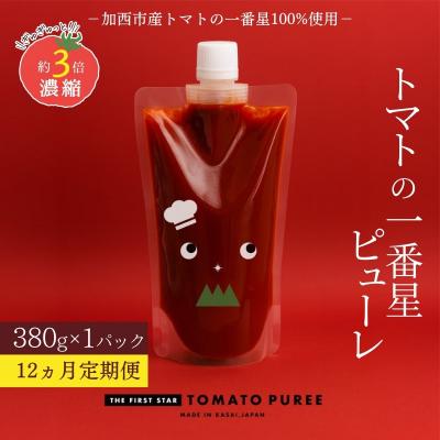 ふるさと納税 加西市 定期便 12ヶ月 トマトピューレ 380g×1本[No5698-1659]
