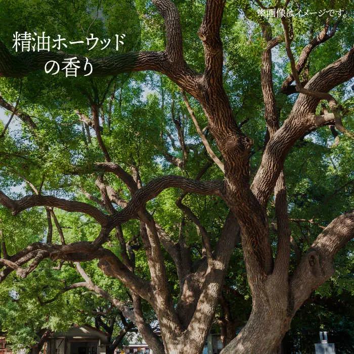 美容液シャンプー＆トリートメント「Hete」精油ホーウッドの香り 400mlセット 桂川町/株式会社studio.FELIZ [ADBU012] トリートメント ダメージケア ヘアケア シャンプー セ