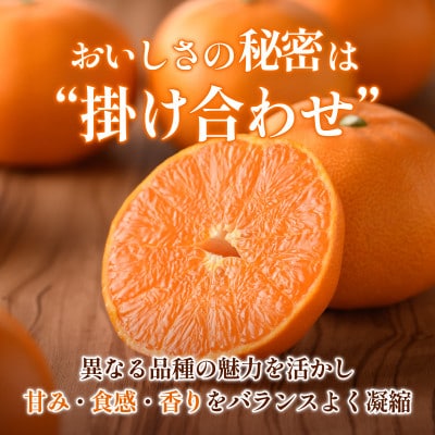 【先行予約】せとか 2.5kg 家庭 柑橘 柑橘の大トロ　小箱【配送不可地域：離島】