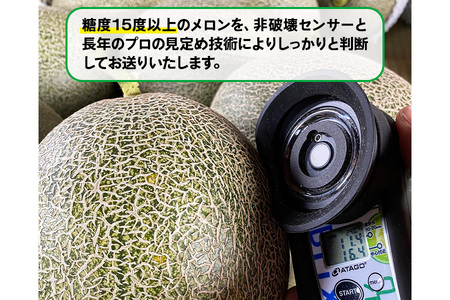 満喫！ つがるメロン 食べ比べセット (タカミ・ユウカ・レノン) 各1.6kg 3玉セット｜つがる市産 2026年産 令和8年 青森産 津軽 めろん 特産 果物 フルーツ 農福連携 [0669]