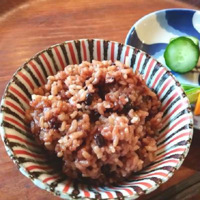ふるさと納税 平群町 酵素玄米ご飯8個パック(長岡式)
