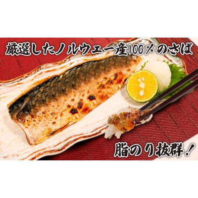 ふるさと納税 銚子市 適塩さば(真空)　6枚入 |  | 03