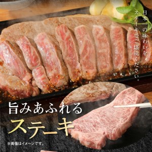 宮崎牛 ロース ステーキ 250g×2 計500g　N0147‐B426