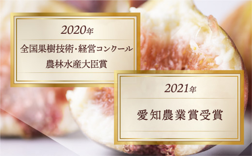 先行予約 完熟 いちじく 9?12玉 ［極］大玉 定期便 3カ月 いちじく好きのための定期便 2027年6月より順次発送 無花果 イチジク 愛知県  田原市