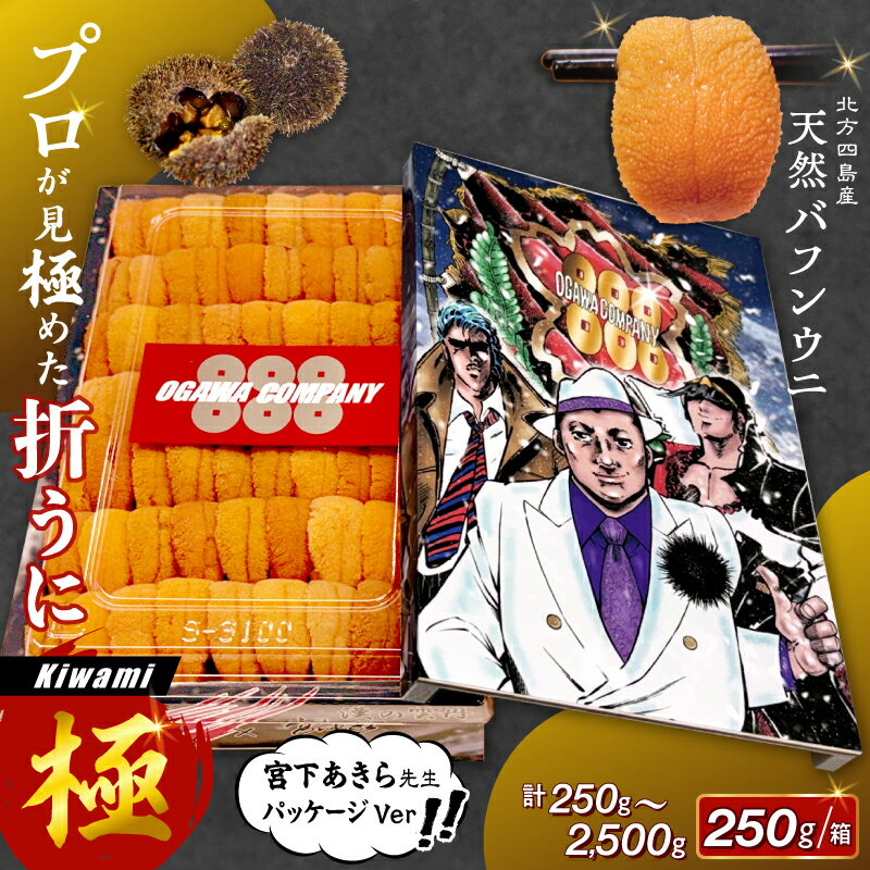 【ふるさと納税】【内容量が選べる】 ≪プロ厳選≫ 折うに (極) 宮下あきら先生 パッケージVer 250g ～ 2500g 生うに 天然 バフンウニ 新鮮 食品 刺身 うに丼 海鮮 海産物 魚介 人気 おすすめ おつまみ 寿司 パスタ 軍艦 ギフト 贈り物 北海道 浜中町