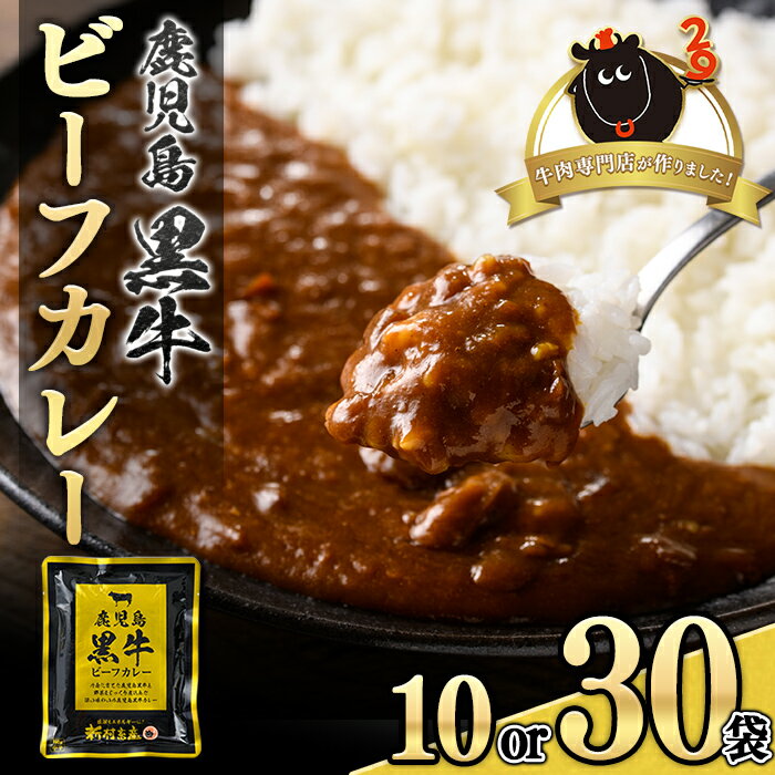 鹿児島黒牛ビーフカレー(160g×10P) 鹿児島 国産 黒牛 牛肉 ビーフ レトルトカレー パック ご当地カレー おかず 惣菜 ギフト 贈答 常温保存 常温【新村畜産】