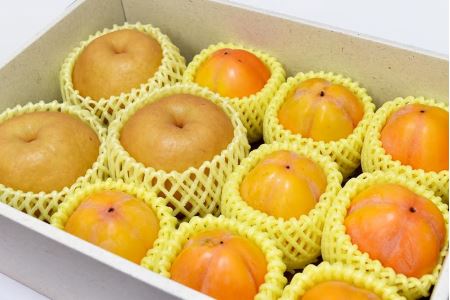 梨と西条柿とドライフルーツ詰合せセット＜11月～11月中旬のお届け＞ 梨 ナシ 和梨 かき 柿 西条柿 果物 フルーツ くだもの ドライフルーツ セット 詰め合わせ 先行予約 ふるさと納税 果物 【032_2070】