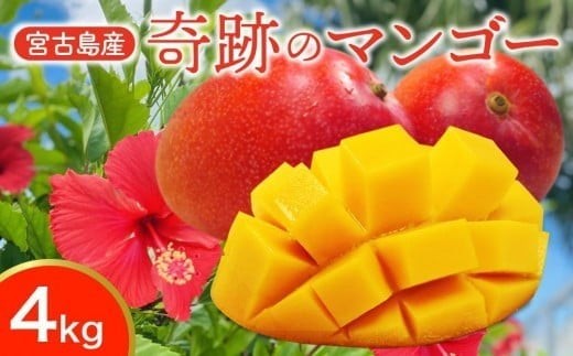CZ013《先行予約2026年発送》【宮縁果樹園】宮古島産　奇跡のマンゴー　4kg　優品