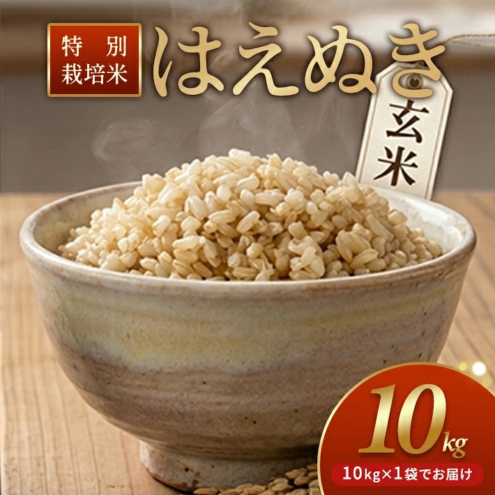 特別栽培米 はえぬき 10kg 玄米 令和7年産 山形県産 東北 山形県 遊佐町 庄内地方 米 お米 庄内米 ご飯 ごはん 産地直送 農家直送